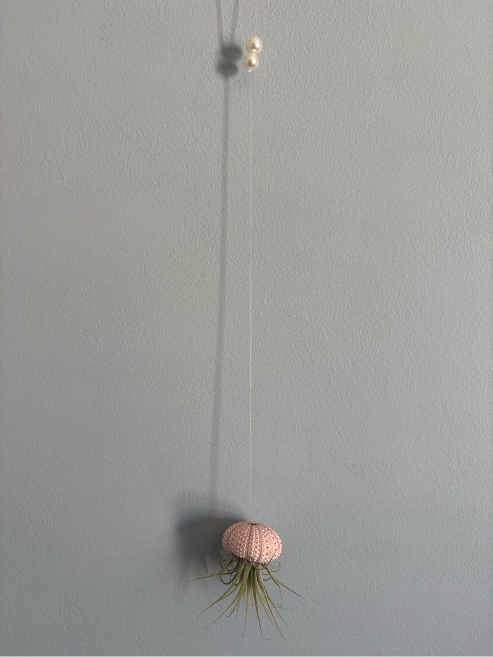 Hanging Sea Urchin Air Plant Holder -Pale Pink *includes air plant